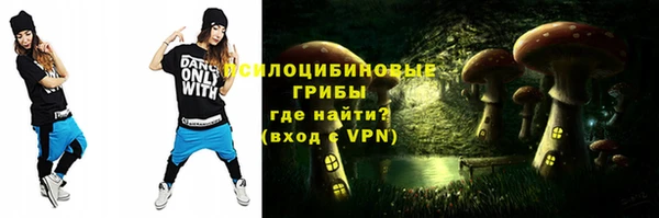 стафф Алзамай
