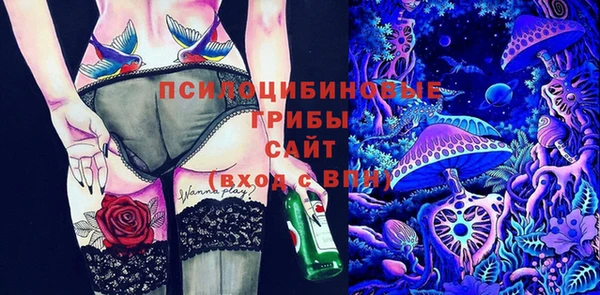 стафф Алзамай