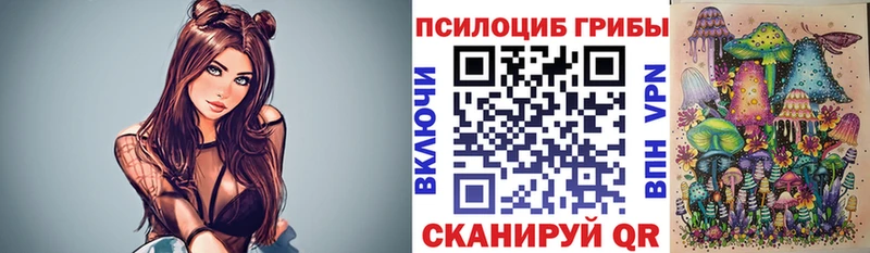 Псилоцибиновые грибы Psilocybe  Искитим 