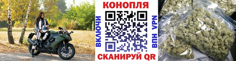 где продают наркотики  Искитим  кракен как зайти  Бошки марихуана индика 